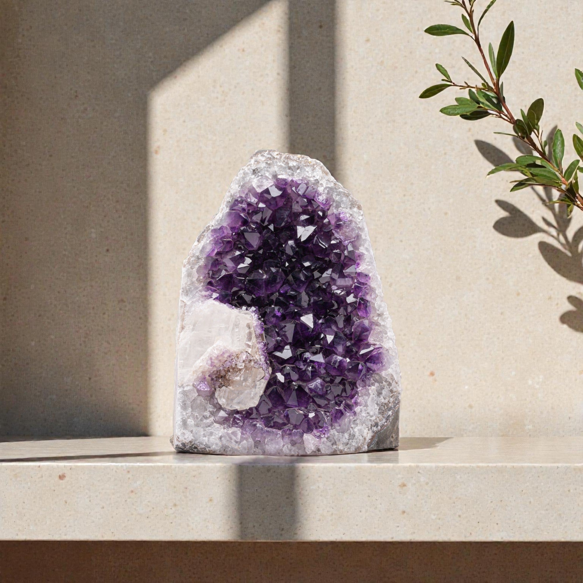 Huge Amethyst Crystal Cluster – Extra Large Cave Geode from Uruguay