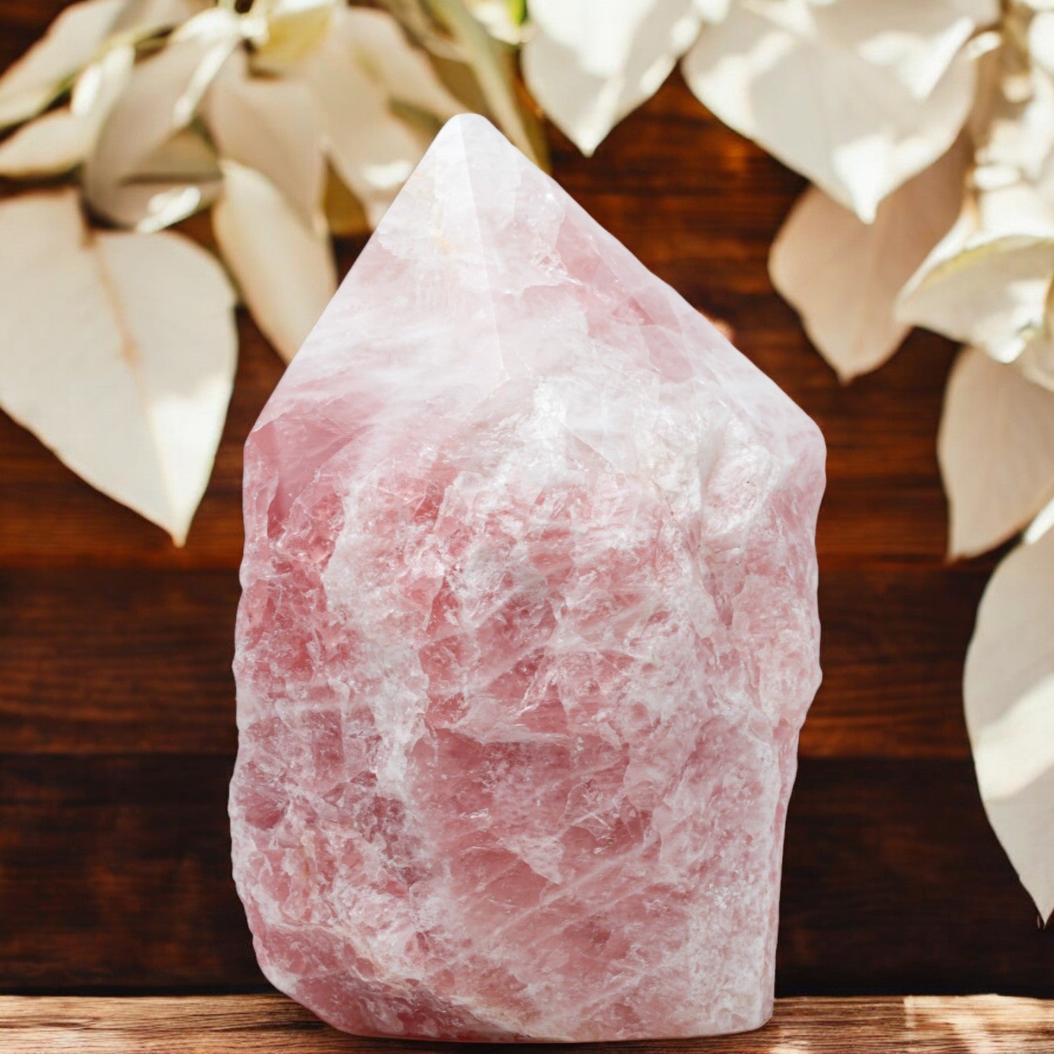 Rose Quartz Pointer - 20.64 lb