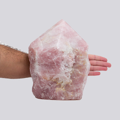 Rose Quartz Pointer - 20.03 lb