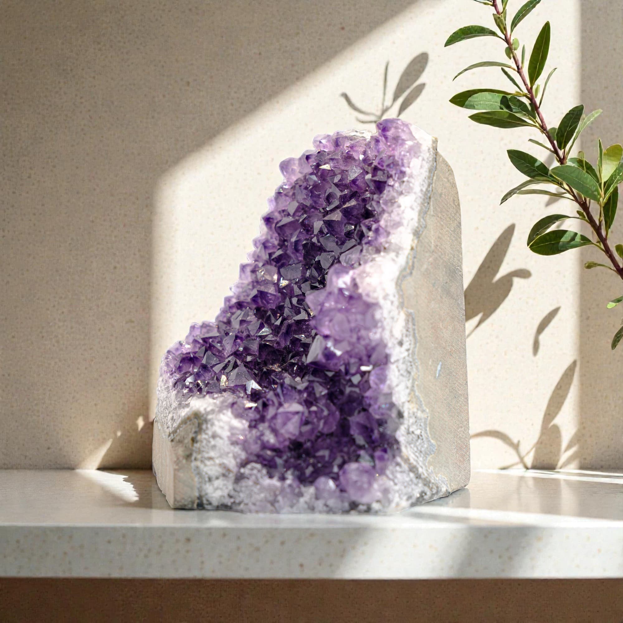 AAA Grade quality - Exceptional color saturation and crystal formation

Natural Uruguayan amethyst cluster, ethically sourced

Rich deep purple crystal formations with unique textures

Ideal size for statement decor - desktops, shelves, altars, or luxury interiors

Rare crystal find for serious collectors and modern luxury styling