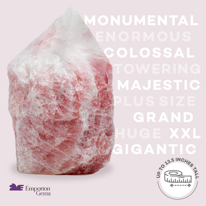 Rose Quartz Pointer - 20.03 lb