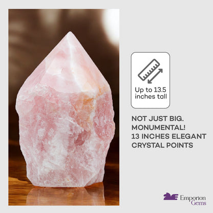 Rose Quartz Pointer - 20.03 lb