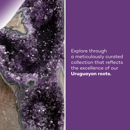 Amethyst Crystal Cluster - 1.5 to 2 lb