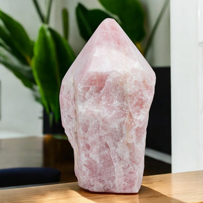 Rose Quartz Pointer - 20.64 lb