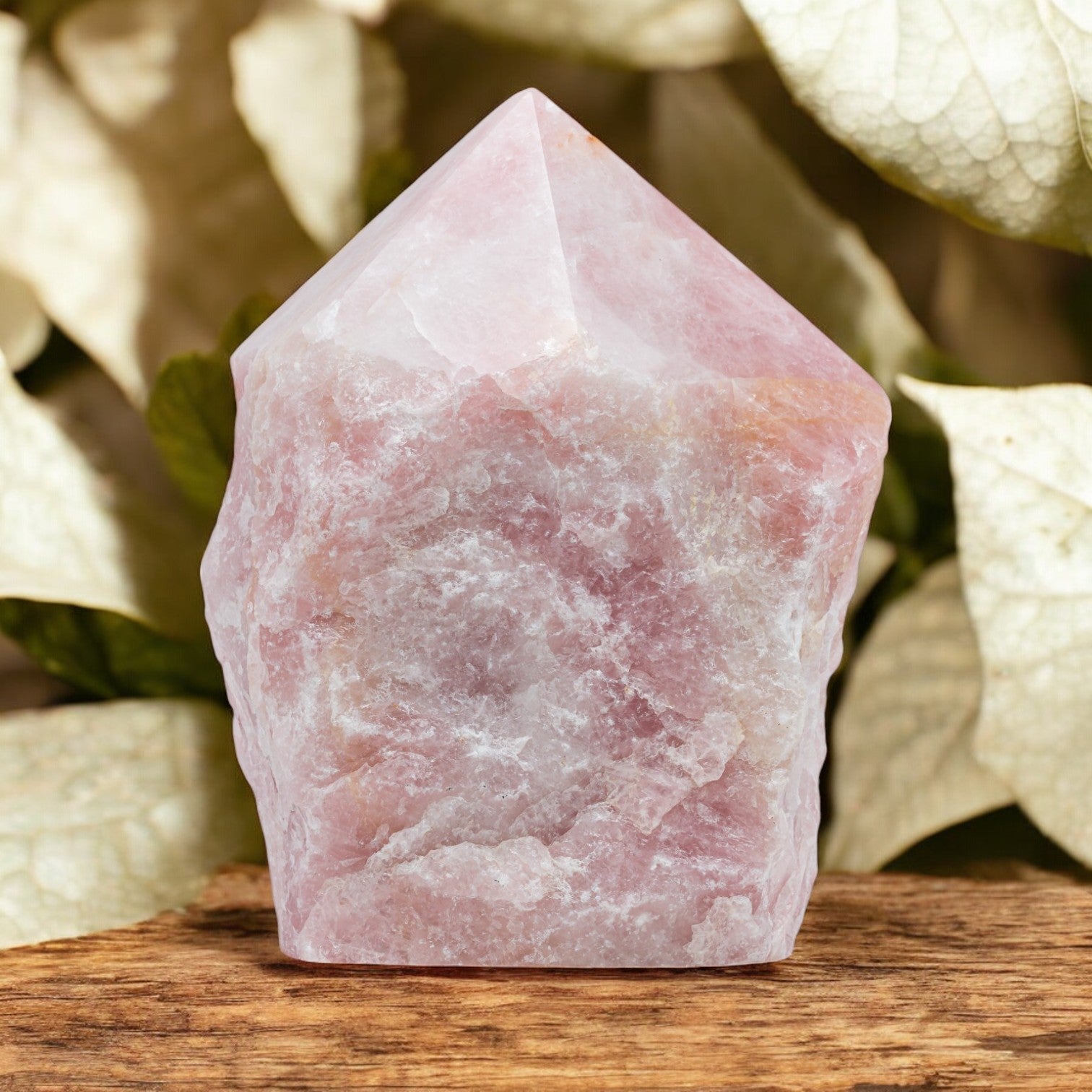 Rose Quartz Pointer - 20.03 lb